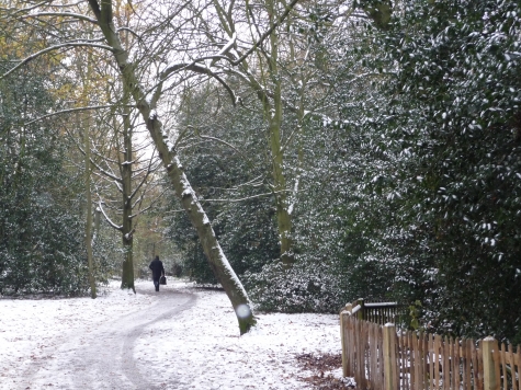 Winter in the Park